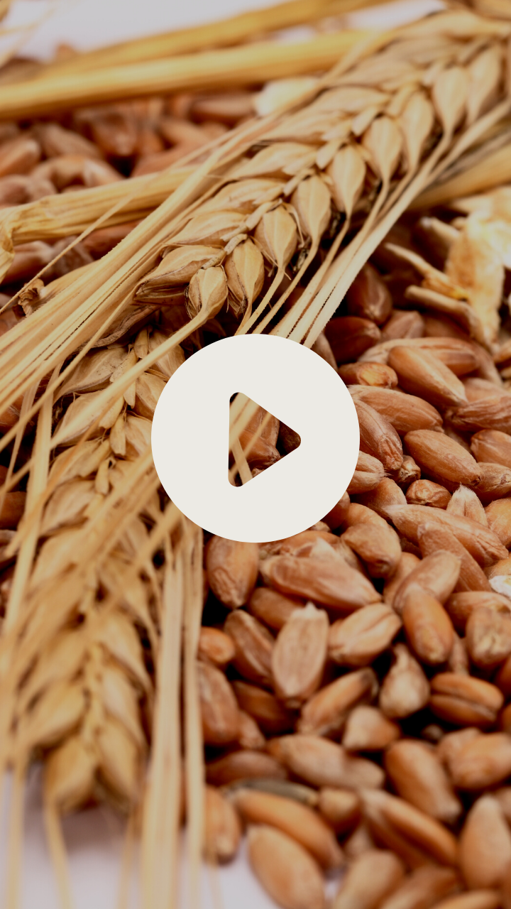 Celebrate Whole Grains Month In September | The Whole Grains Council